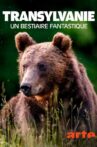 Transylvanie, un bestiaire fantastique Movie Streaming Online