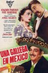 Una gallega en México Movie Streaming Online