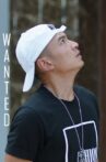 Wanted Movie Streaming Online