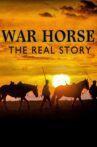 War Horse The Real Story Movie Streaming Online