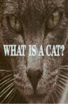 What Is a Cat? Movie Streaming Online