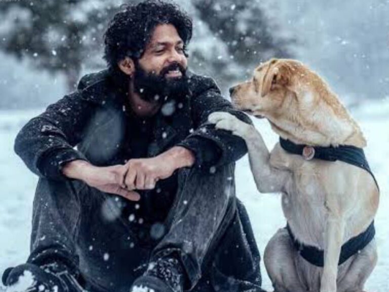 Sandalwood’s 777 Charlie  To Be Released In Japan!