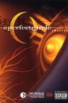 A Perfect Circle: aMOTION Movie Streaming Online