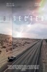 Bisected Movie Streaming Online