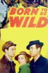 Born to Be Wild Movie Streaming Online
