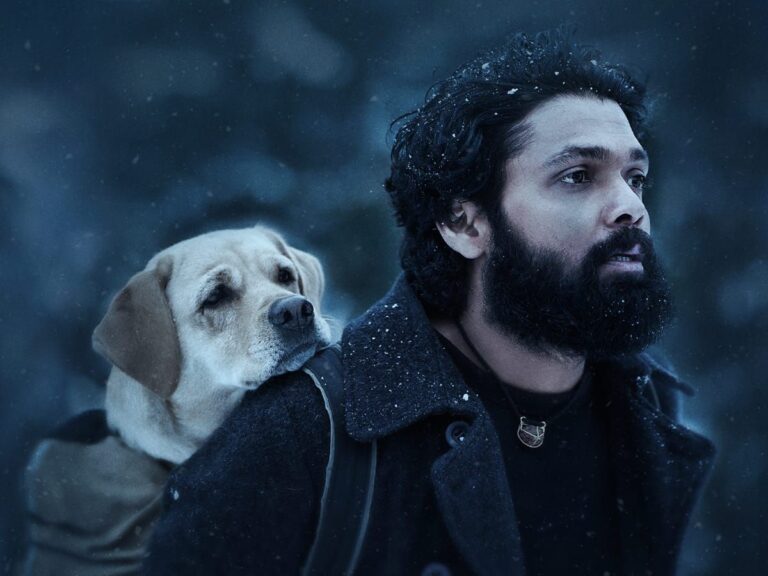 777 Charlie: The Amazing Pet Drama Is Now Streaming In Hindi Here!