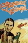 Clipped Wings Movie Streaming Online