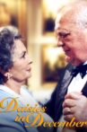 Daisies in December Movie Streaming Online