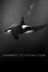 Dammed to Extinction Movie Streaming Online