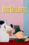 Dog Collared Movie Streaming Online
