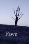 Fawn Movie Streaming Online