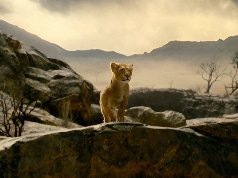 First Look of ‘Mufasa: The Lion King’ Teases to New Adventure