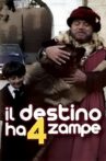 Il destino ha 4 zampe Movie Streaming Online