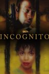 Incognito Movie Streaming Online