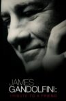 James Gandolfini: Tribute to a Friend Movie Streaming Online