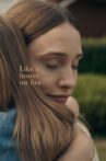Like a House on Fire Movie Streaming Online