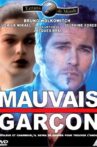 Mauvais garçon Movie Streaming Online
