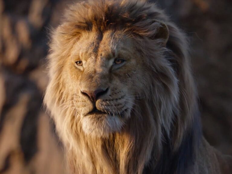 Mufasa’s Origin Story Could Shake Disney’s The Lion King’s Lore