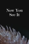 Now You See It Movie Streaming Online