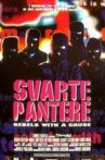 Svarte pantere Movie Streaming Online