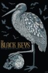 The Black Keys: Live At Austin City Limits Movie Streaming Online