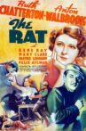 The Rat Movie Streaming Online