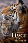 Tigres : Le Making of Movie Streaming Online