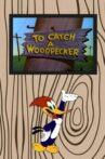 To Catch a Woodpecker Movie Streaming Online