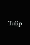 Tulip Movie Streaming Online