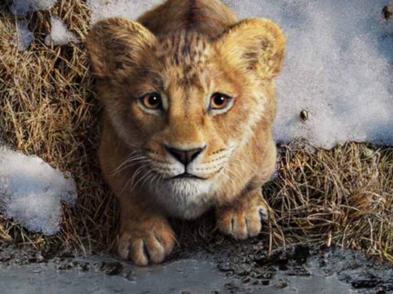 What Sets ‘Mufasa: The Lion King’ Apart From The 2019 Film