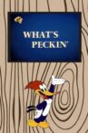 What's Peckin' Movie Streaming Online