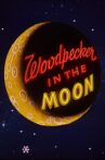 Woodpecker in the Moon Movie Streaming Online