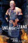 WWE One Night Stand 2008 Movie Streaming Online