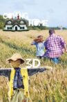 Coming Home Movie Streaming Online