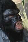 Guerrilla Girls: en dag i Stockholm Movie Streaming Online