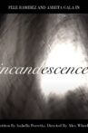 Incandescence Movie Streaming Online
