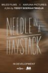 Needle In A Haystack Movie Streaming Online