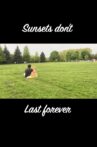 Sunsets Don't Last Forever Movie Streaming Online