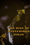The Rise of Mysterious Ninja Movie Streaming Online