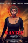 Wanted Movie Streaming Online