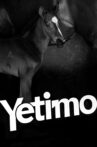 Yetimo Movie Streaming Online