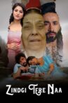 Zindgi Tere Naa Movie Streaming Online