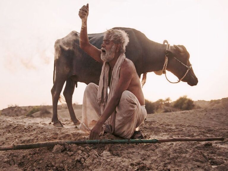 5 Films To Watch On World Environment Day