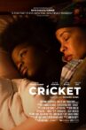 Cricket Movie Streaming Online