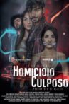 Homicidio Culposo Movie Streaming Online