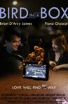 Bird in a Box Movie Streaming Online