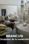 Brancusi : les métamorphoses de la sculpture Movie Streaming Online