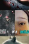 Face of a Wolf Movie Streaming Online
