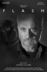 Flash Movie Streaming Online