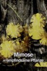 Mimosa Tank: A Prologue for a Film Movie Streaming Online